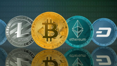 Crypto Pro Network logo
