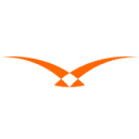 Hawk logo