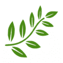 Jon Curtis logo