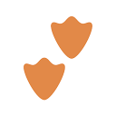 Tailored Management logo