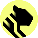 Tiger Data logo