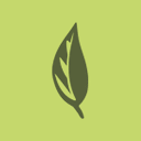 Willow Health logo